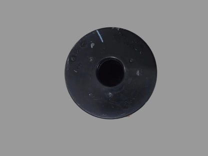Mahindra Roxor Fuel Filter Element 1001CAA14881N