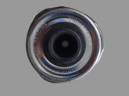 Mahindra Tractor / Roxor Fuel Filter 006038451V01