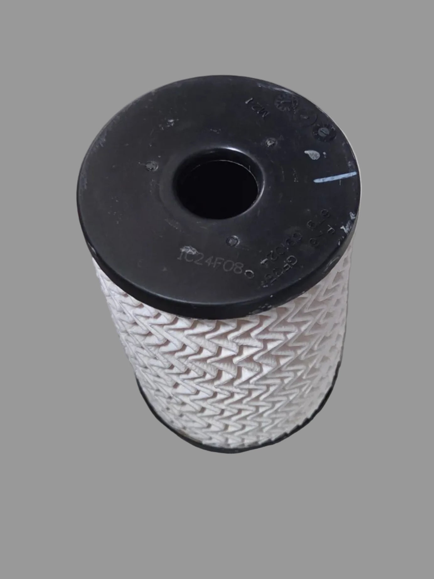 Mahindra Roxor Fuel Filter Element 1001CAA14881N
