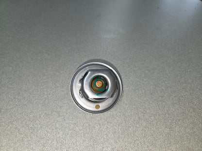 Mahindra Roxor Thermostat 0304EAB01191N
